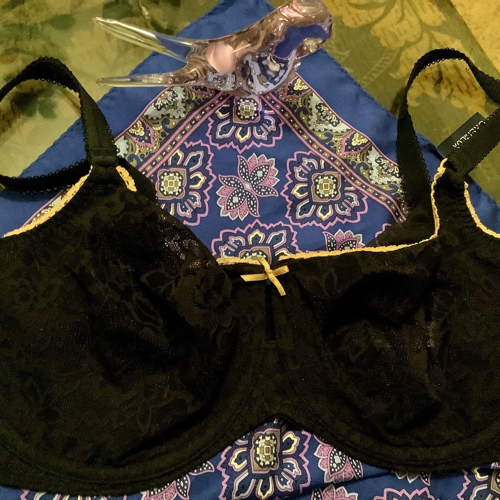 b.tempt’d lace black underwire bra with tan piping. Very sexy ! NWOT!